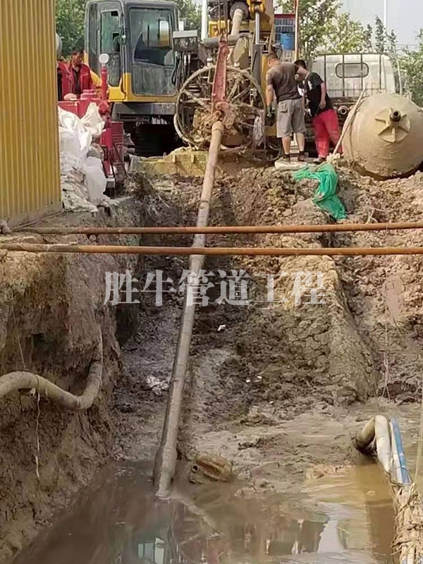 日皮视频网站APP