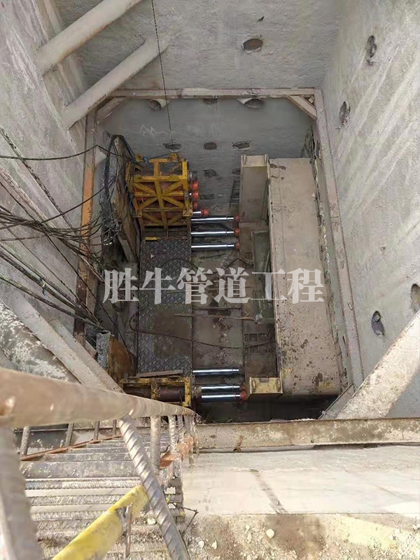 日皮视频网站APP