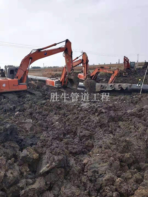 1737080567175976.jpg thumb_20200714090500_395.jpg